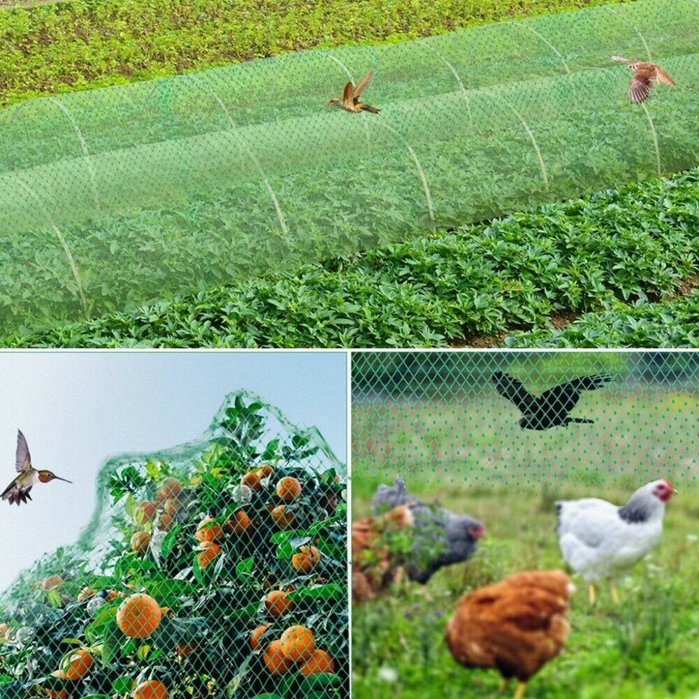 Large-Anti-Bird-Protect-Tree-Nylon-Net-Fruit-Crop-Plant-Garden-Pond-Netting-Mesh-1831837-8