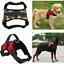 Pet-Control-Harness-Adjustable-Dog--Cat-Soft-Mesh-Walk-Collar-Safety-Strap-Vest-1250106-5