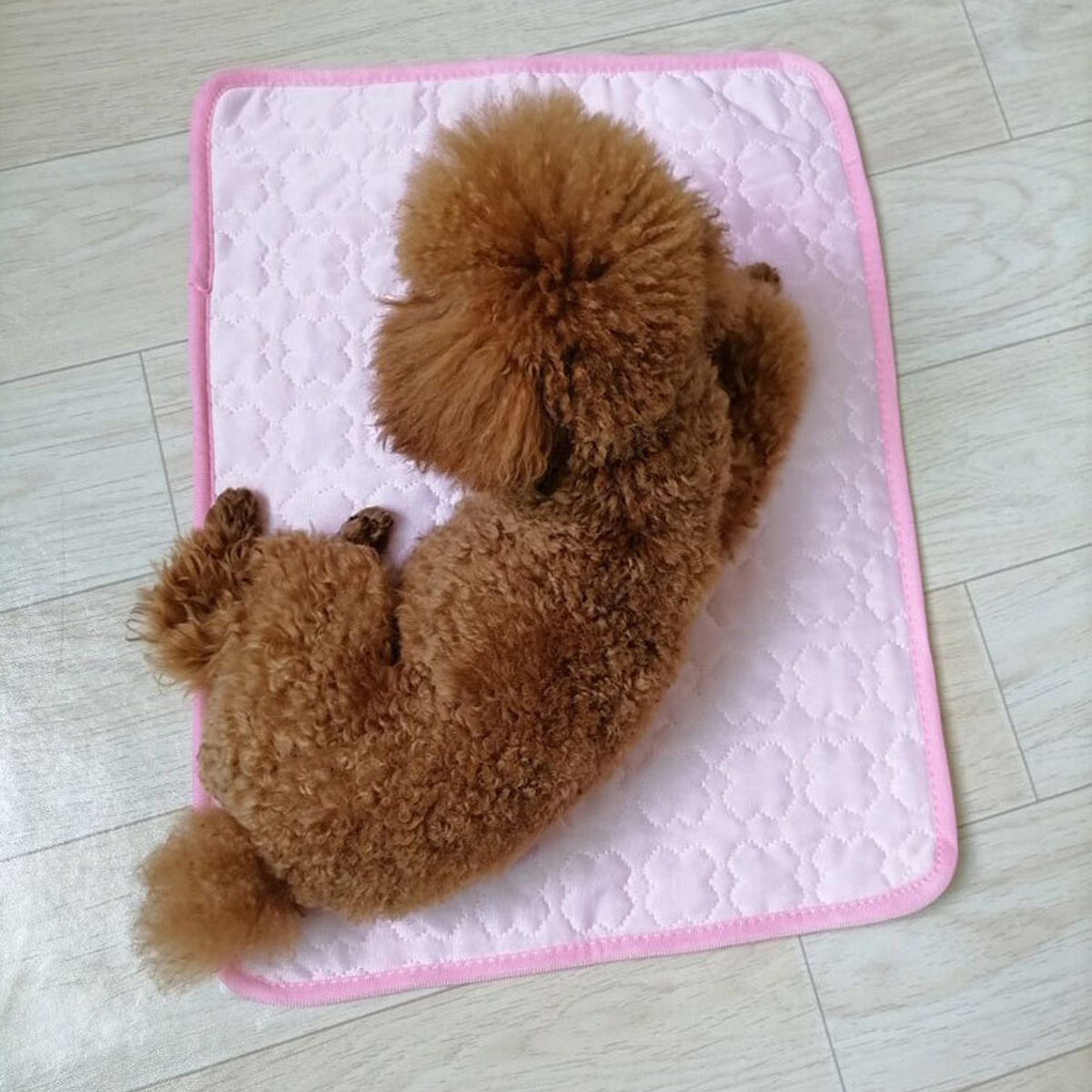 Pet-Cooling-Mat-Dog-Cat-Summer-Cooling-Cushion-Pads-Breathable-Comfortable-Dog-Supplies-1889099-9