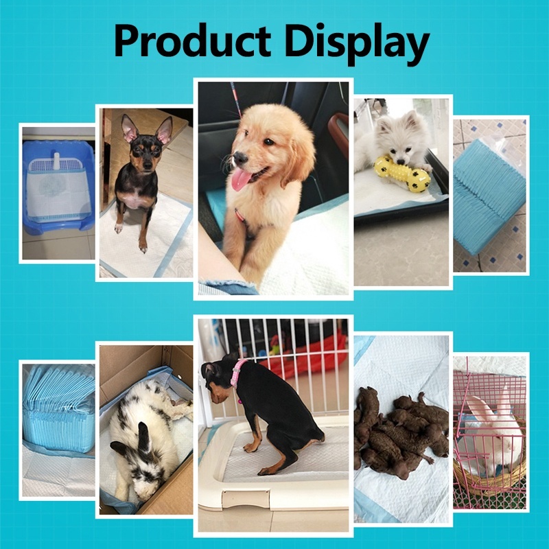 Pet-Diaper-Disposable-Super-Absorbent-Training-Dog-Diaper-Healthy-Cleaning-Dog-Pad-Puppies-Training--1694003-7