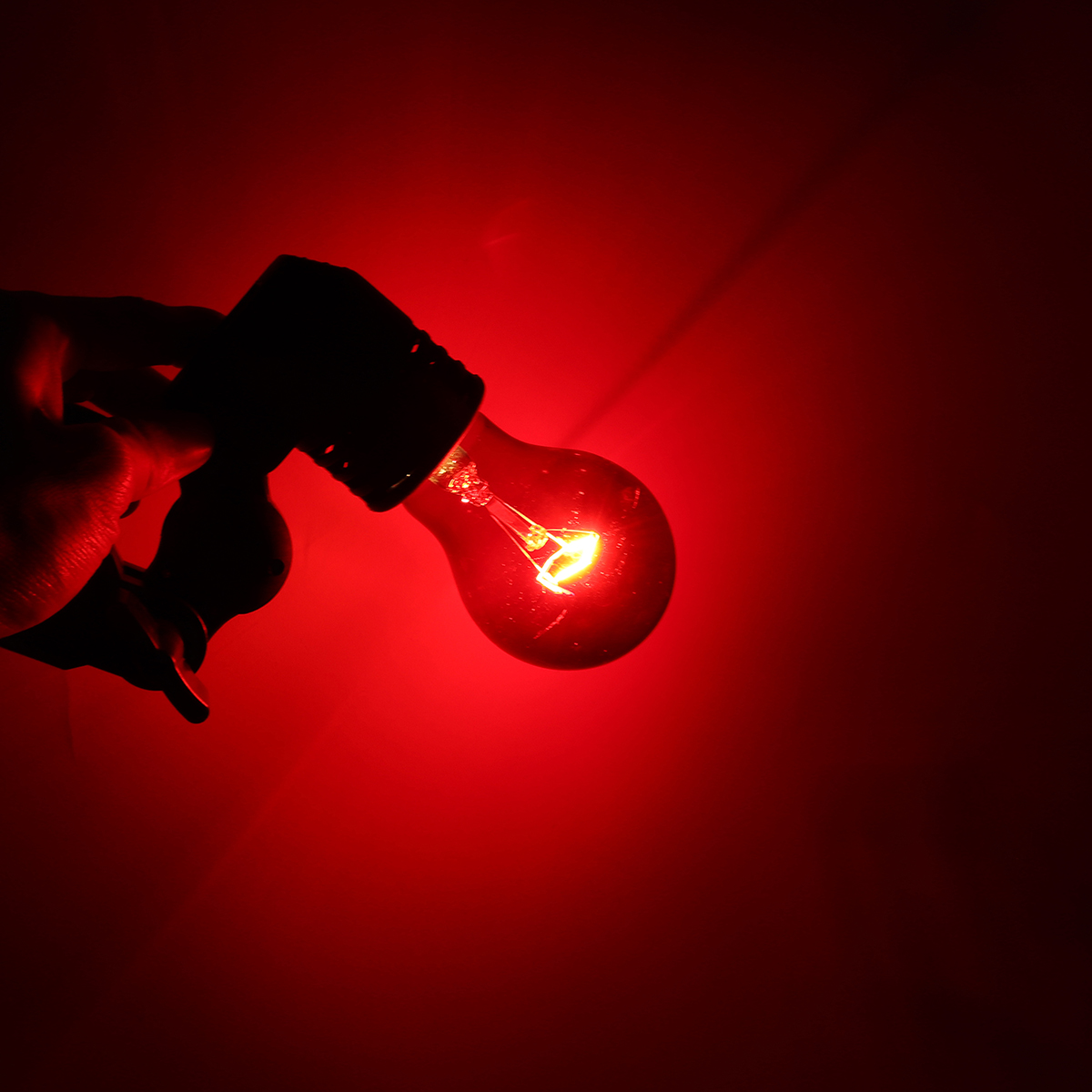 75W-Heat-Lamp-Heating-Infrared-Pet-Light-Bulb-for-Reptile-Tortoise-AC110V-1465081-8