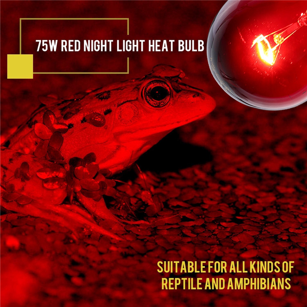 75W-Heat-Lamp-Heating-Infrared-Pet-Light-Bulb-for-Reptile-Tortoise-AC110V-1465081-9