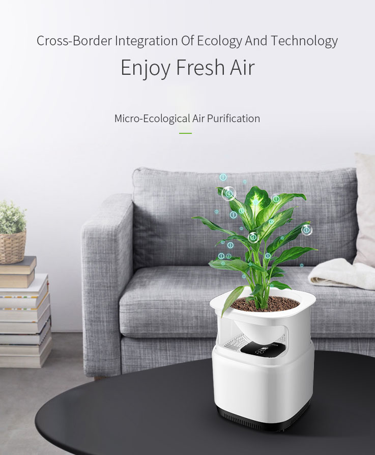 DC-4200-Air-Purifier-Micro-Ecological-Purification-Negative-Ion-Purification-Green-Plant-Purificatio-1529250-2