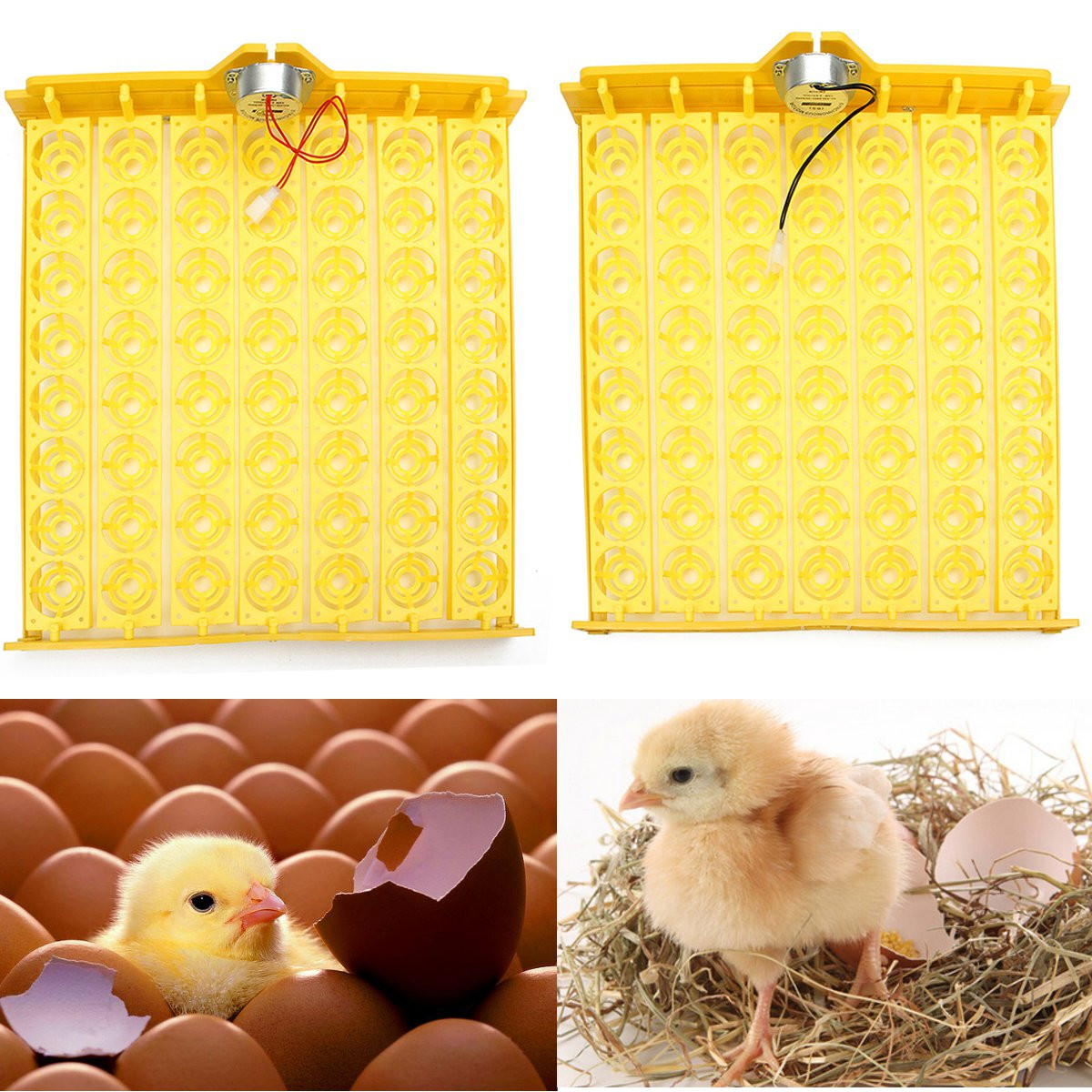 Automatic-Egg-Incubator-56-Eggs-Turner-Tray-Chicken-Quail-Duck-With-110V220V-1633269-2