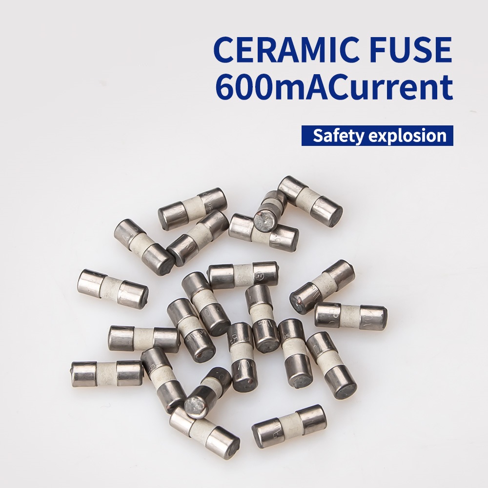 1020pcs-ANENG-1035mm-Ceramic-Fuse-600mA-10A-250V-for-Multimeter-1599048-5