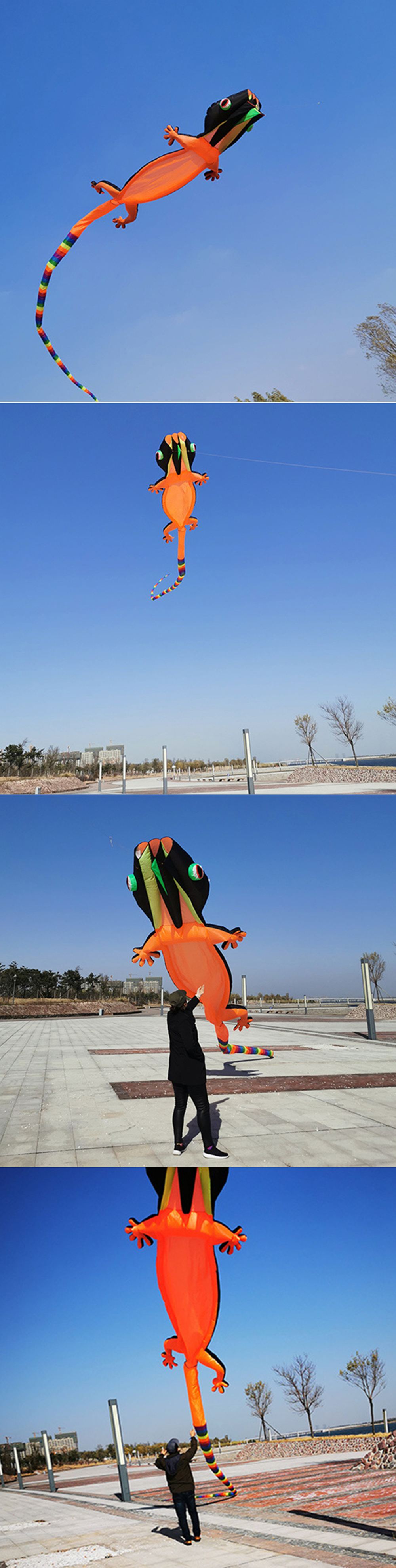 12m-Lizard-Gecko-Kite-Soft-Inflatable-Kite-Outdoor-Sports-Flying-Toy-Adult-Single-Line-Kite-Children-1830635-2