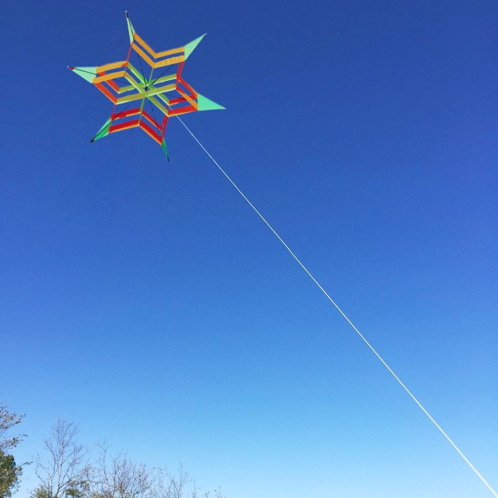 3D-Colorful-Hexagon-Kite-Single-Line-FRP-Plum-Flower-Flying-Kite-Outdoor-Sport-Kids-Adult-Fun-Toys-1838192-3