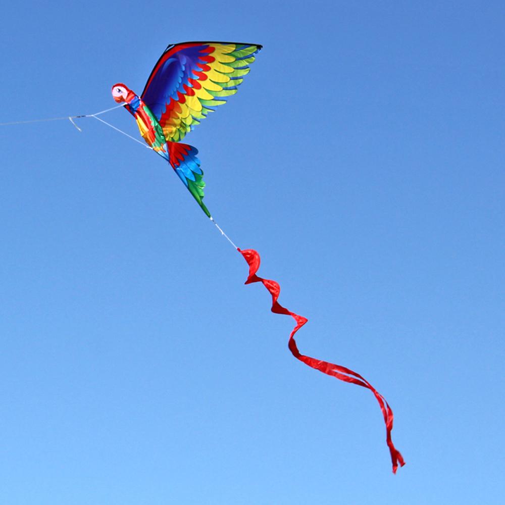 3D-Parrot-Kite-Flyer-Kite-with-100m-Noodle-BoardSpiral-Floating-Tail-Kids-Children-Adult-Beach-Trip--1826024-4