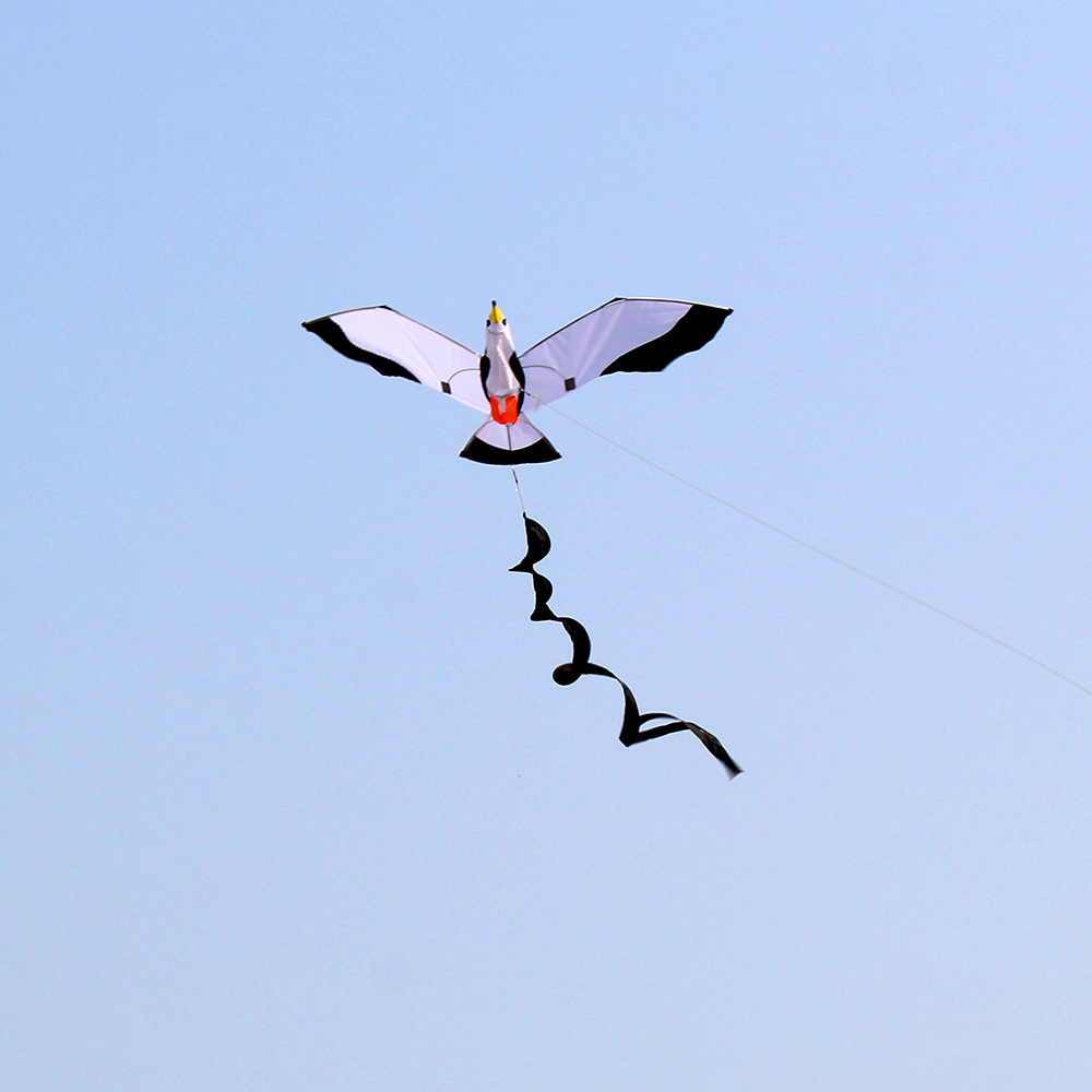 3D-Sea-Mew-Kite-Flyer-Kite-with-100m-Noodle-BoardSpiral-Floating-Tail-Kids-Children-Adult-Beach-Trip-1826025-4