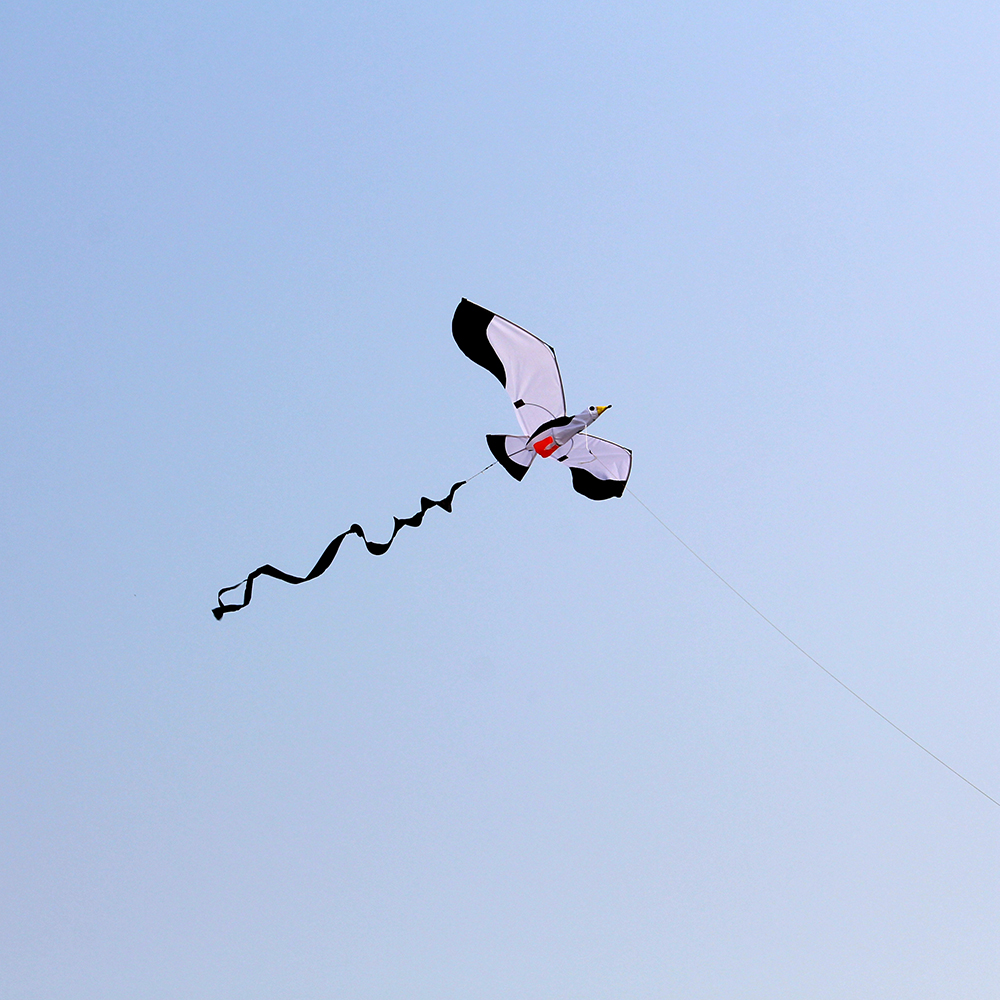 3D-Sea-Mew-Kite-Flyer-Kite-with-100m-Noodle-BoardSpiral-Floating-Tail-Kids-Children-Adult-Beach-Trip-1826025-5