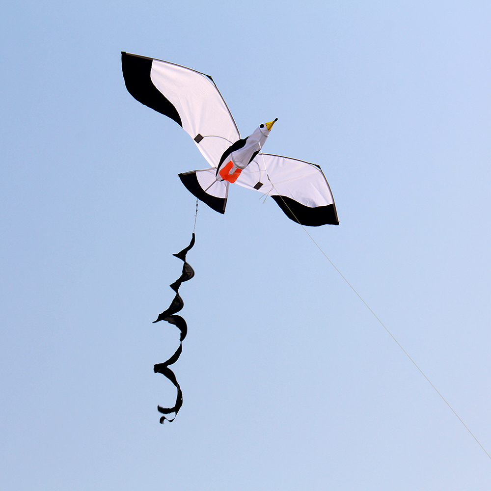 3D-Sea-Mew-Kite-Flyer-Kite-with-100m-Noodle-BoardSpiral-Floating-Tail-Kids-Children-Adult-Beach-Trip-1826025-6