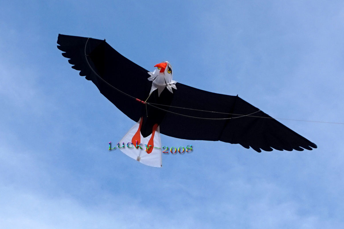 High-Quality-3D-Eagle-Kite-single-line-stunt-kite-Outdoor-Sports-Toys-for-kids-1130507-3