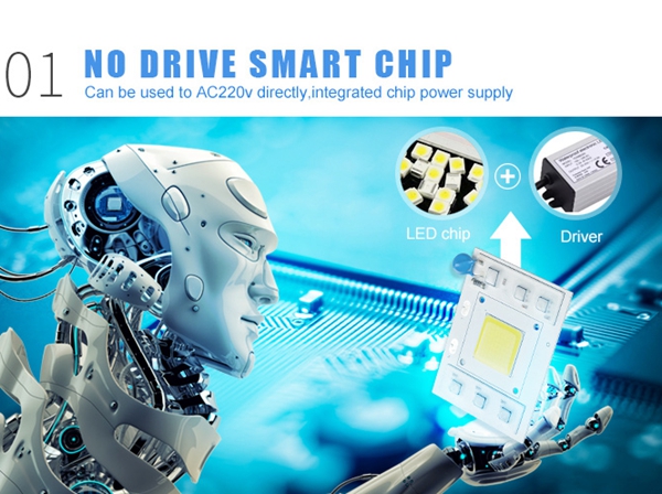 20W-30W-50W-COB-LED-Chip-AC220V-Smart-IC-Light-Source-for-Floodlight-Street-Lamp-1286192-2