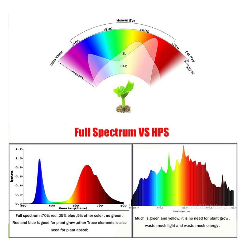 AC110V220V-COB-LED-Chip-For-Grow-Light-Full-Spectrum-380-780nm-Plant-Seedling-Flower-1888460-13