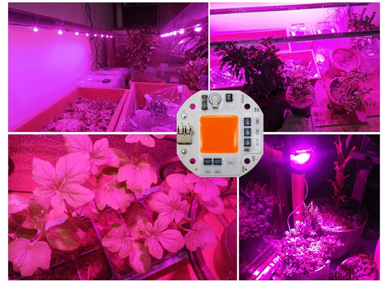 AC110V220V-COB-LED-Chip-For-Grow-Light-Full-Spectrum-380-780nm-Plant-Seedling-Flower-1888460-15