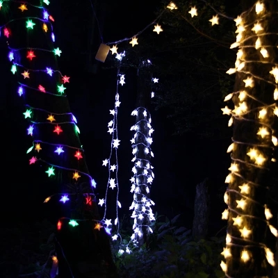 DSL-6-Gardening-5M-40LED-String-Light-Star-Shape-Holiday-Garden-Party-Wedding-Decoration-1185736-5