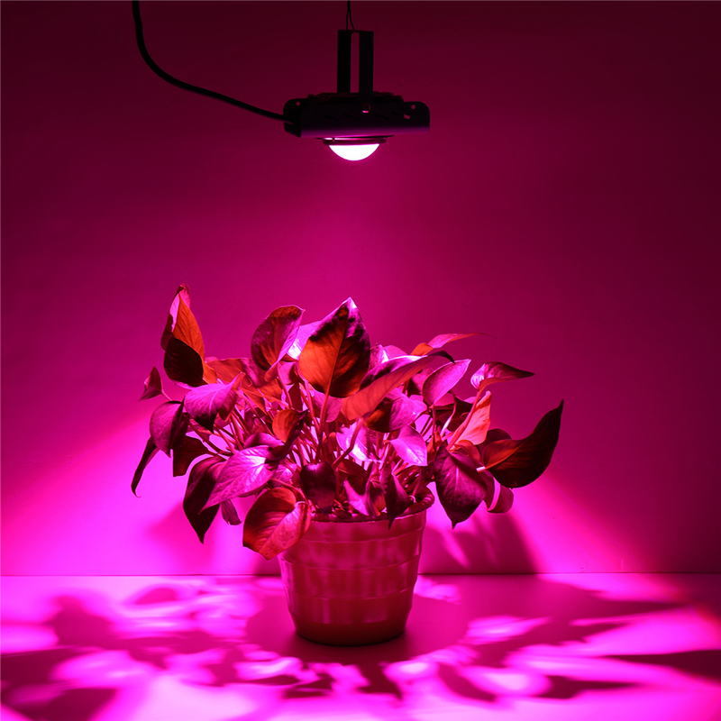 144LED-COB-Plant-Grow-Light-Full-Spectrum-380-800nm-4000K-Hydroponic-Growth-Lamp-1645852-4