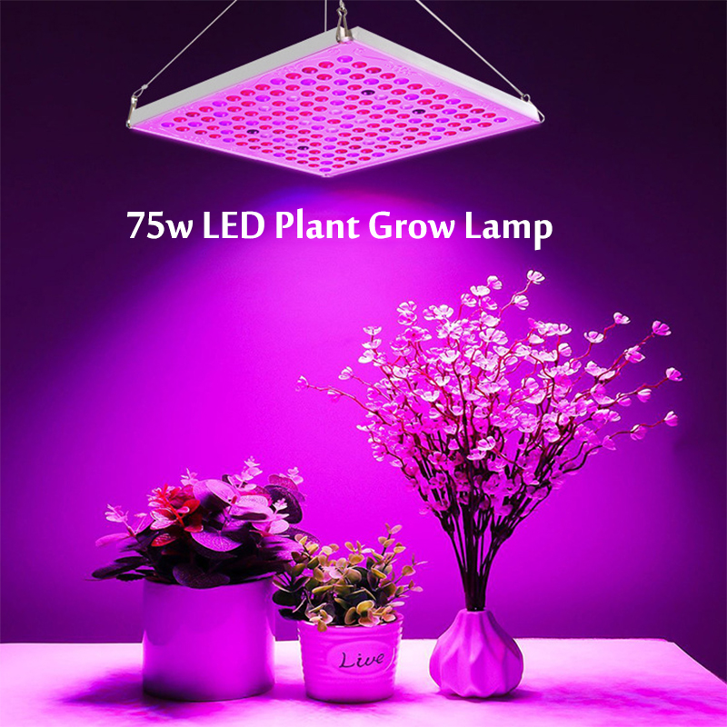 169LED-LED-Grow-Plant-Light-Full-Spectrum-Hydroponic-Panel-Lamp-Growing-Indoor-1816512-3