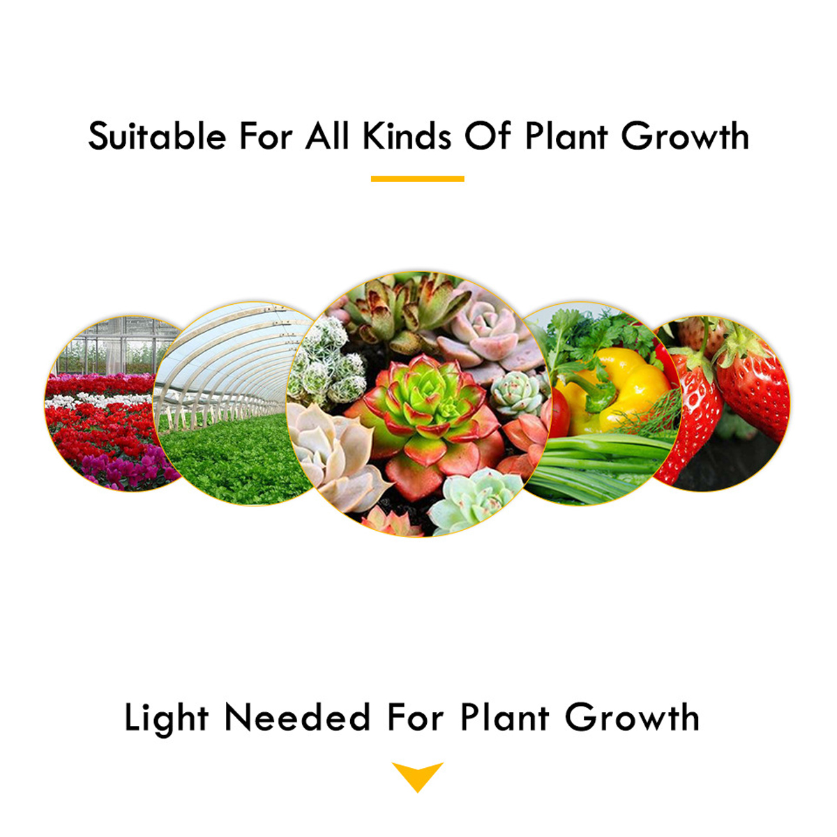 200W-E27E26-LED-Plant-Grow-Light-Hydroponic-Full-Spectrum-Bulb-Indoor-Lamp-1698265-5