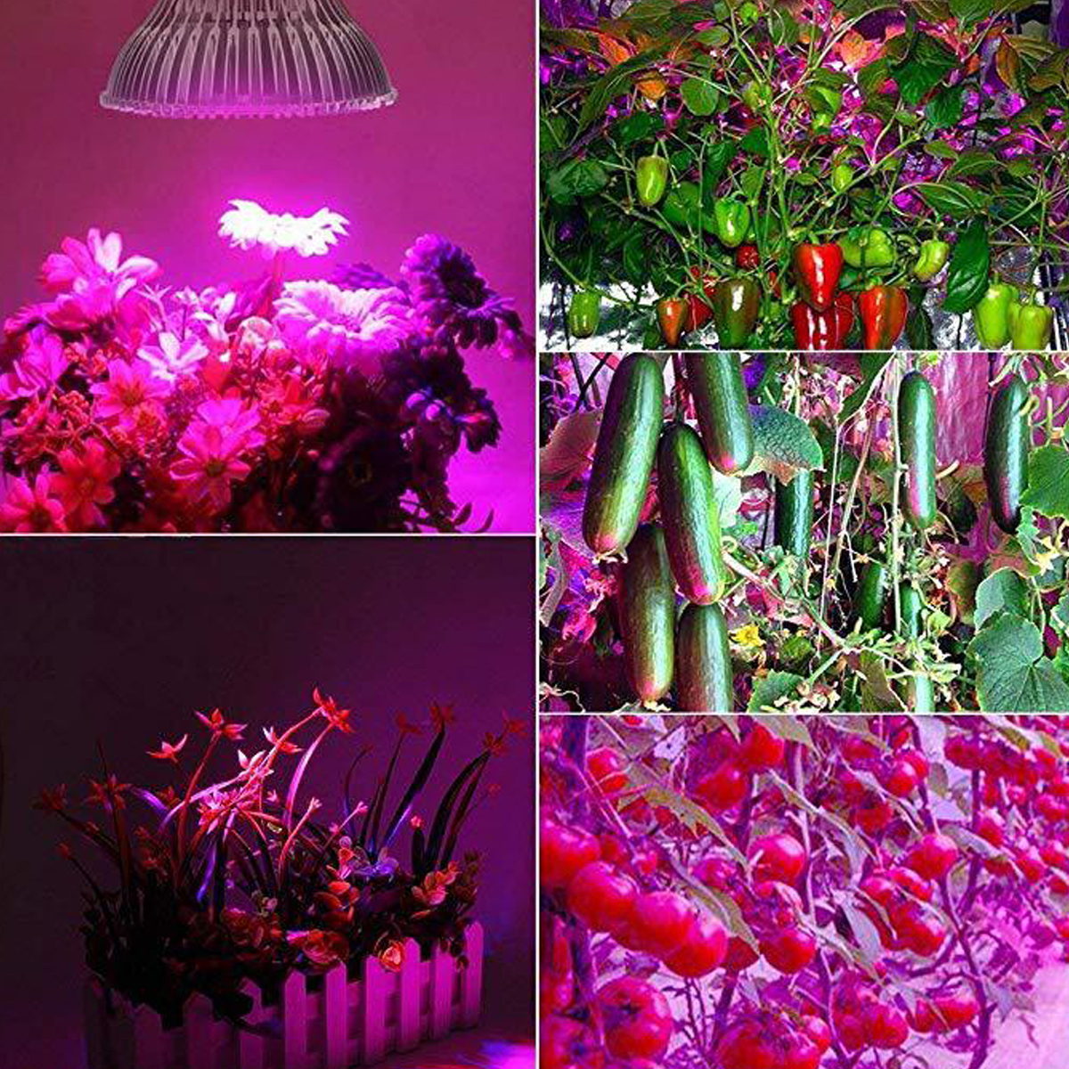 200W-E27E26-LED-Plant-Grow-Light-Hydroponic-Full-Spectrum-Bulb-Indoor-Lamp-1698265-6