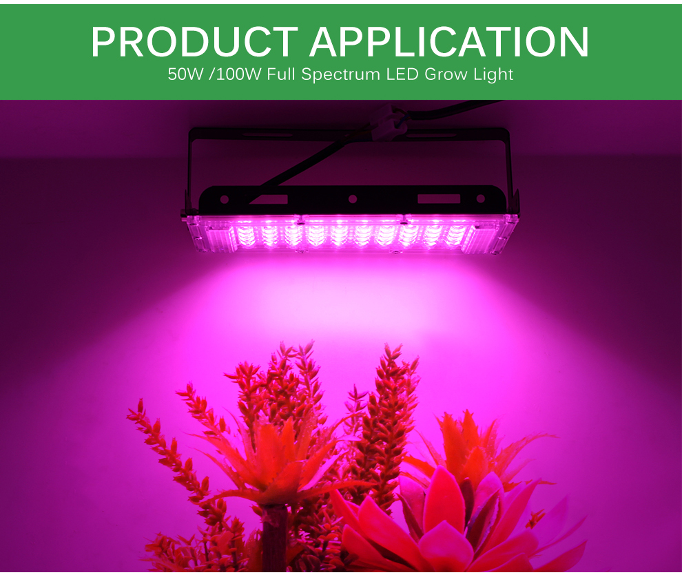 220V-LED-Grow-Light-Phytolamp-Plants-Full-Spectrum-LED-Floodlight-Flowers-Seedlings-Plant-Growing-Ph-1797450-2