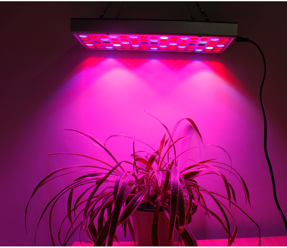 25W-75LED-Full-Spectrum-Plants-Growing-Lamps-1000lm-UV-Red-Blue-White-Light-Chips-for-Greenhouse-See-1686075-11