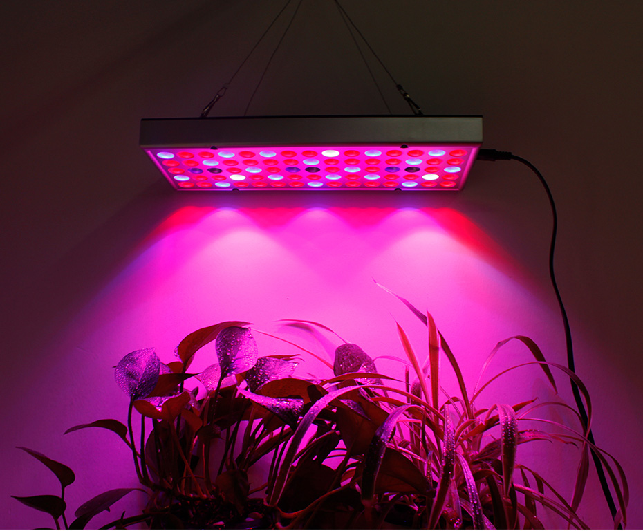 25W-75LED-Full-Spectrum-Plants-Growing-Lamps-1000lm-UV-Red-Blue-White-Light-Chips-for-Greenhouse-See-1686075-12