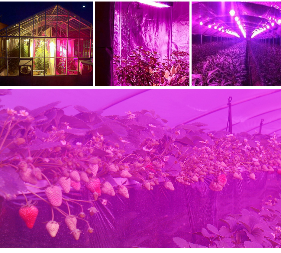25W-75LED-Full-Spectrum-Plants-Growing-Lamps-1000lm-UV-Red-Blue-White-Light-Chips-for-Greenhouse-See-1686075-13