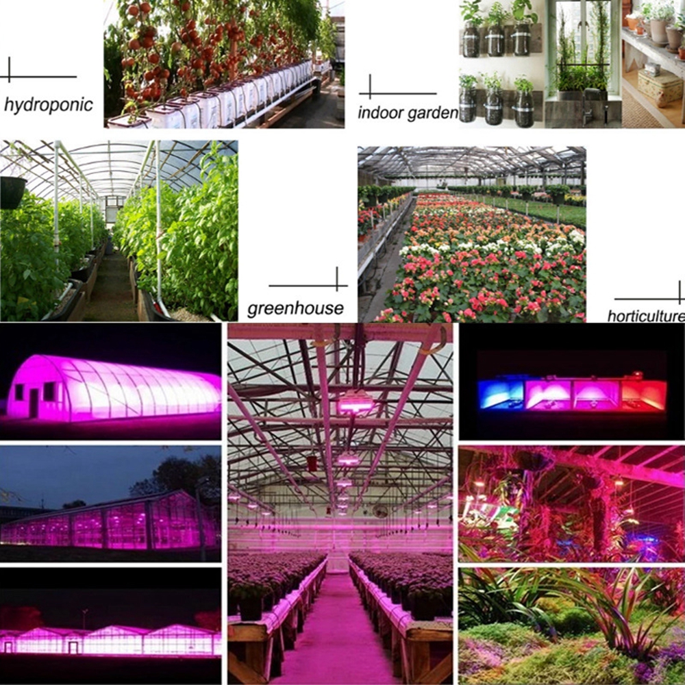 2PCS-40W-E27-LED-Grow-Light-Bulb-Full-Spectrum-Plant-Vegetable-Flower-Seeding-Lamp-AC220V-1741655-8