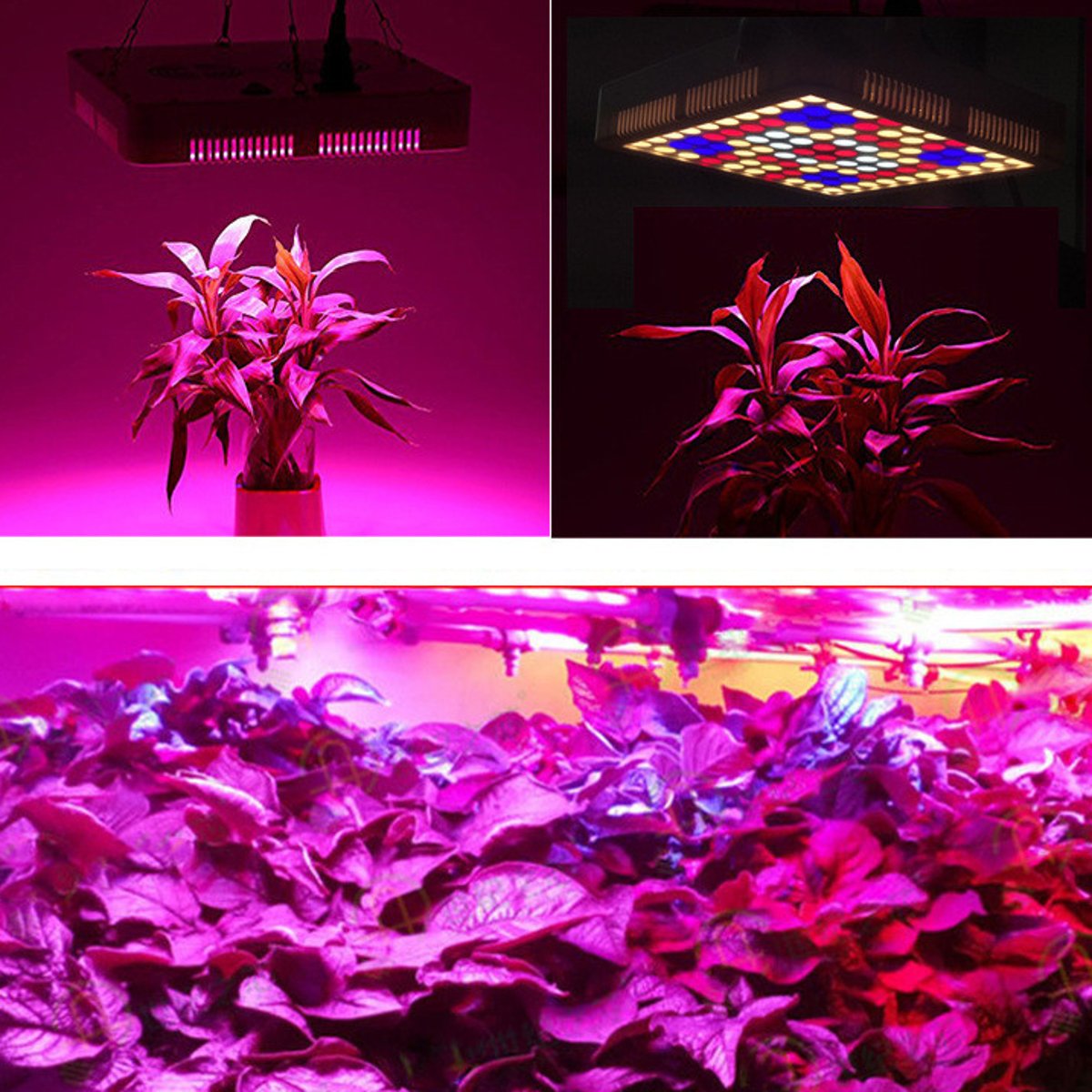 300W-100-LED-Grow-Light-Full-Spectrum-Panel-Indoor-Plant-Flower-Lighting-Lamps-1705287-11