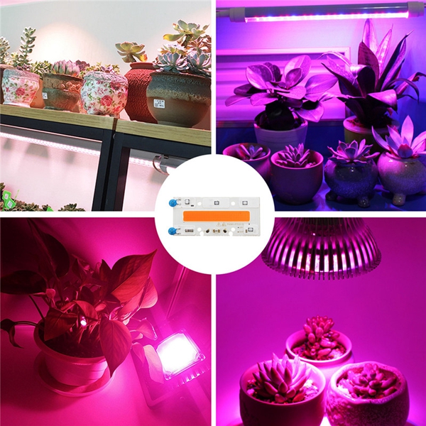 30W-Full-Spectrum-LED-COB-Chip-Grow-Light-for-Indoor-Plant-Seedling-Flower-90X40mm-AC110220V-1258824-9