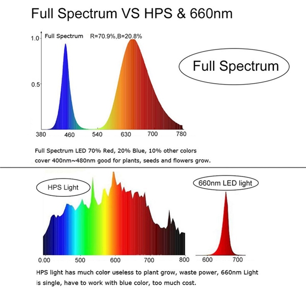 30W-Full-Spectrum-LED-COB-Chip-Grow-Light-for-Indoor-Plant-Seedling-Flower-90X40mm-AC110220V-1258824-10
