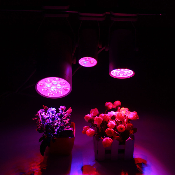 3W-7W-12W-LED-Plant-Lights-Grow-Lamp-Flood-Supplementary-Light-1189956-1
