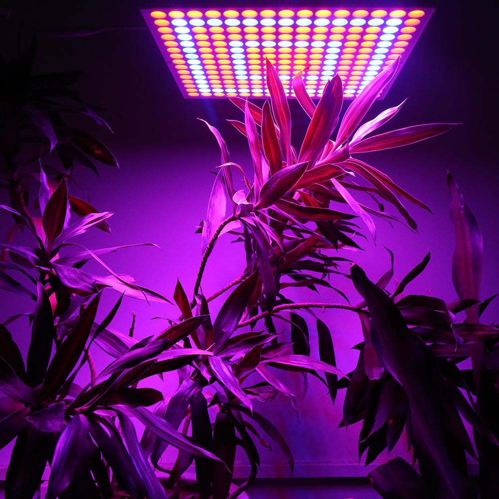 45W-200W-Reflector-Cup-Full-Spectrum-Led-Grow-Lights-For-Grow-Tent-Box-Indoor-Greenhouse-1210967-2