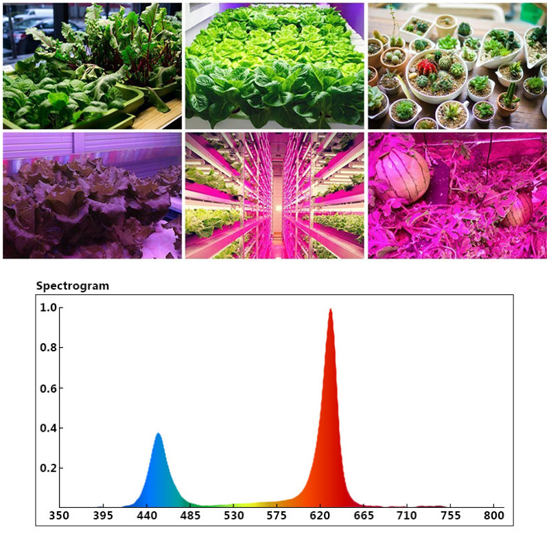 45W-LED-Grow-Light-Panel-Growing-Lamp-Hydroponics-Indoor-Flower-Veg-Bloom-Lighting-AC85-265V-1689411-8