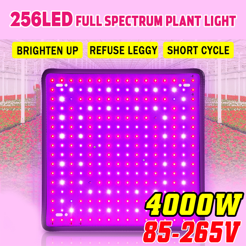 5000W-LED-Full-Spectrum-Plant-UV-Grow-Light-Veg-Growing-Lamp-Indoor-Hydroponic-1957648-1