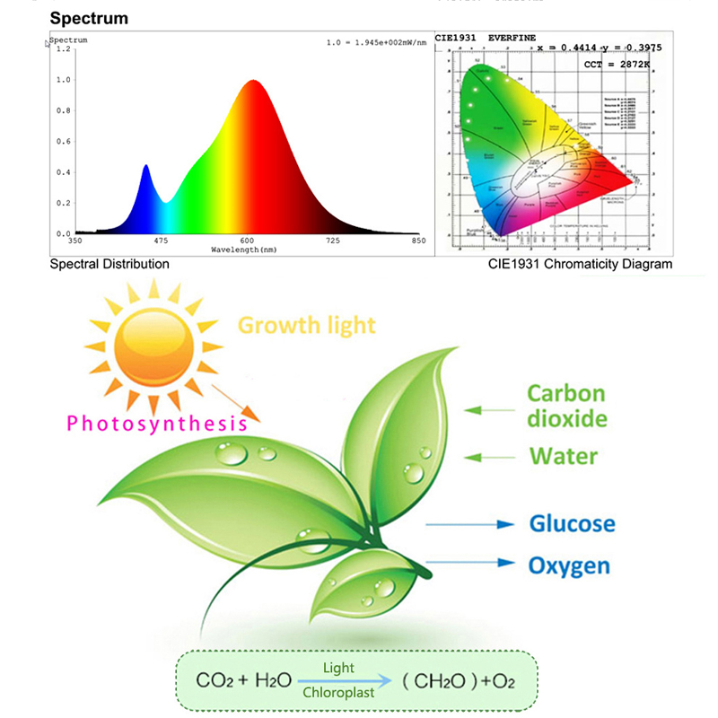 5096LED-Grow-Light-Full-Spectrum-Greenhouse-Plant-Vegetable-Flower-Hydroponics-IP65-Waterproof-Lamp-1903983-9