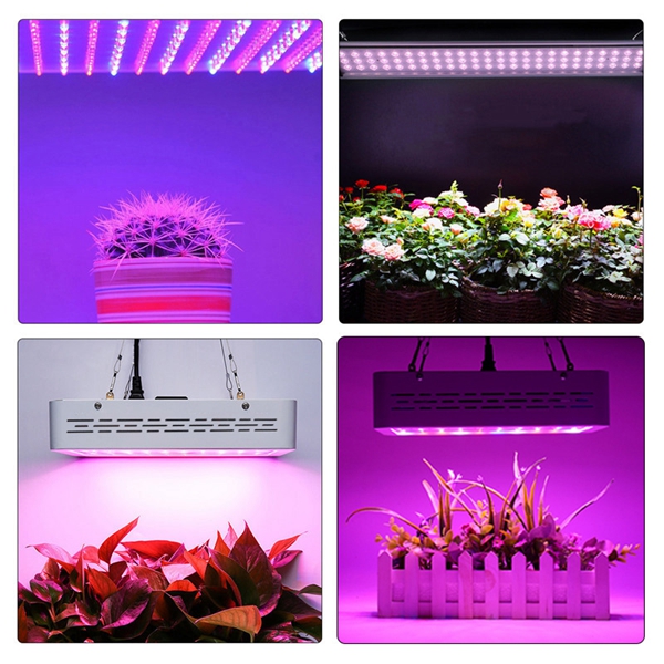 50W-Full-Spectrum-LED-Grow-Light-Hydroponic-Indoor-Veg-Bloom-Plant-Lamp-1236616-10