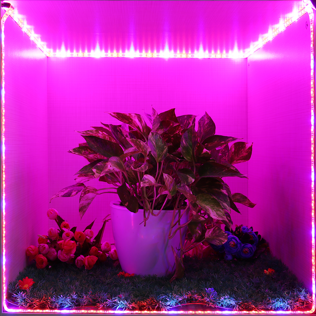 5M-SMD5050-Waterproof-Full-Spectrum-LED-Plant-Grow-Strip-Light-for-Greenhouse-Aquarium-DC12V-1231068-10