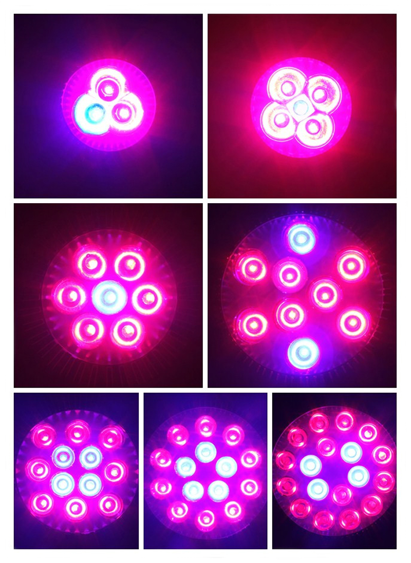 6W-E27-Red--Blue-LED-Plant-Grow-Light-Lamp-Flower-Hydroponic-Globe-Bulb-85-265V-981604-4