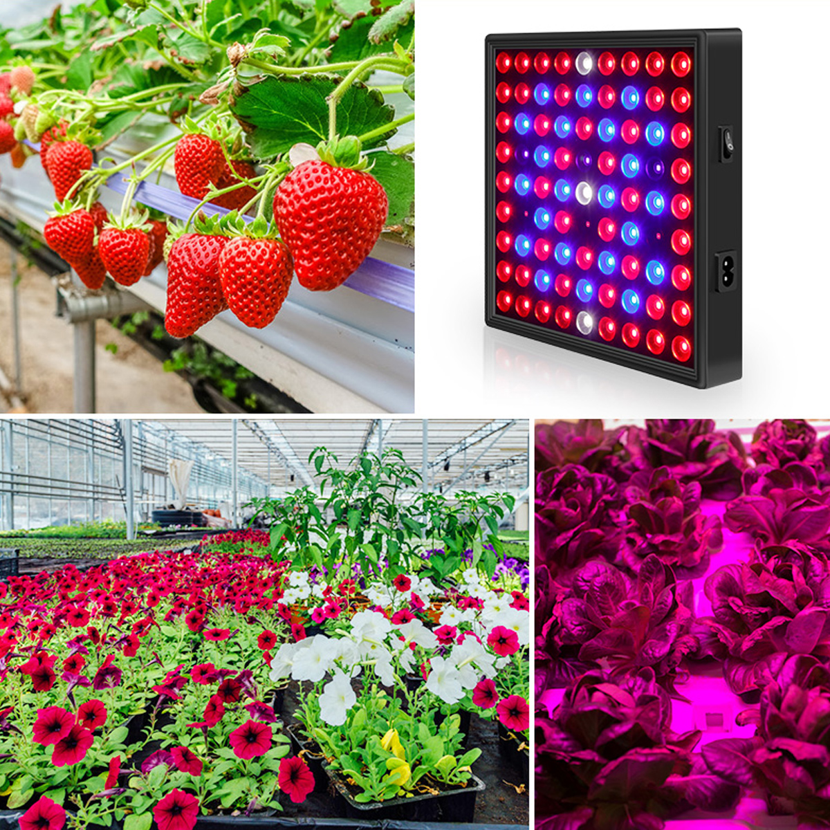 91169LED-Grow-Light-Plant-Growing-Lamp-With-Clip-For-Indoor-Plants-Vegetable-AC85-265V-1742456-9