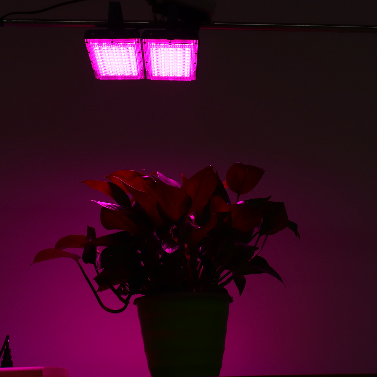 Full-Spectrum-100-LED-Grow-Light-Flood-Lighting-Lamp-for-Plants-Veg-and-Flower-1627785-2