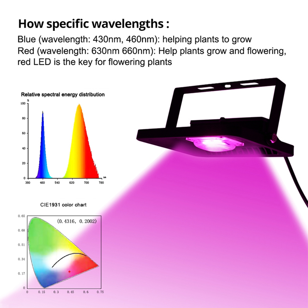 Full-Spectrum-30W-50W-COB-LED-Grow-Light-Waterproof-Phyto-Lamp-for-Indoor-Plant-Vegetable-Flower-AC2-1758554-5