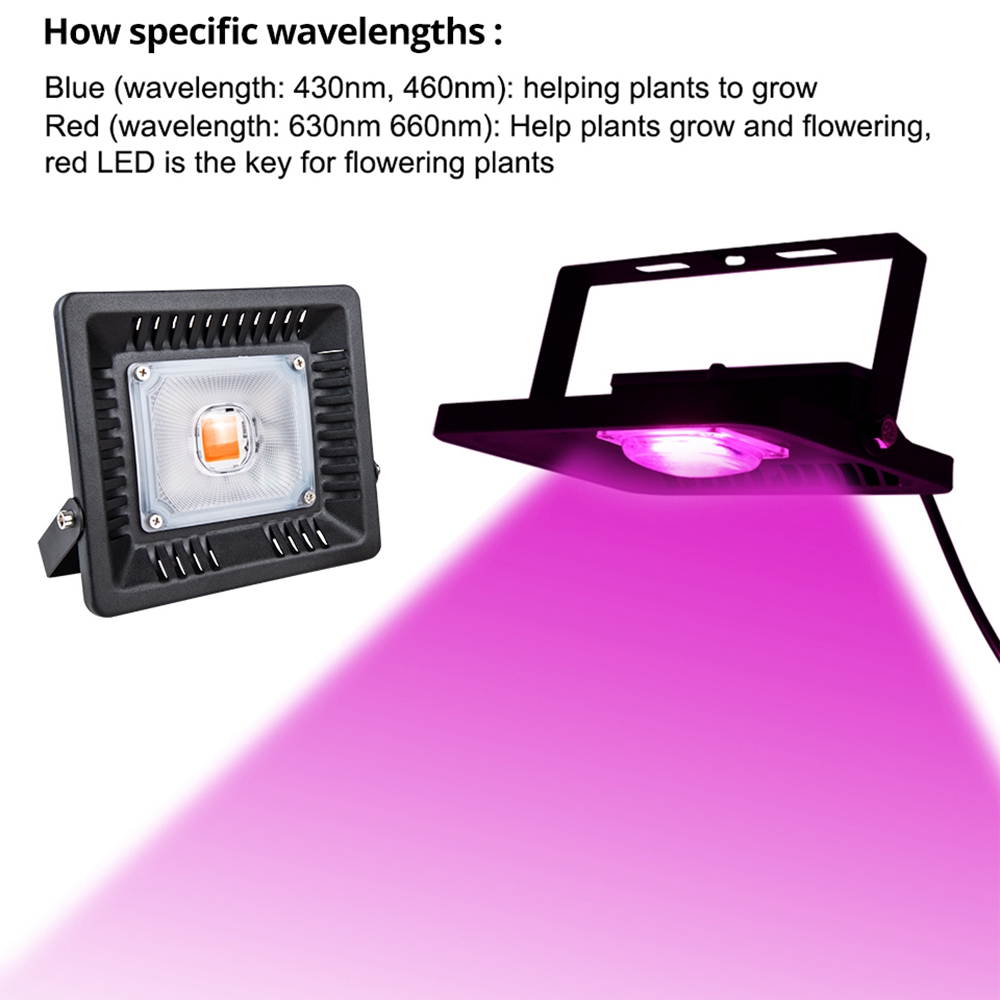 Full-Spectrum-30W-50W-COB-LED-Grow-Light-Waterproof-Phyto-Lamp-for-Indoor-Plant-Vegetable-Flower-AC2-1758554-6