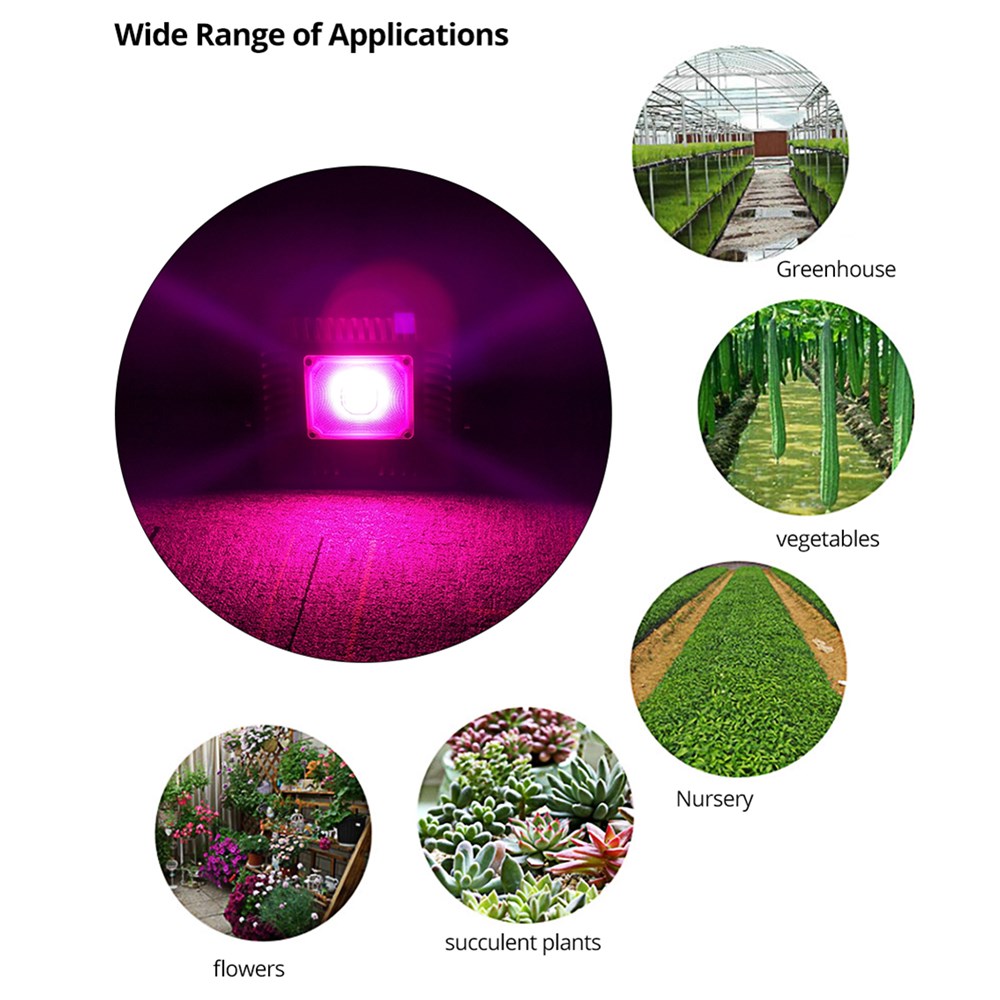 Full-Spectrum-30W-50W-COB-LED-Grow-Light-Waterproof-Phyto-Lamp-for-Indoor-Plant-Vegetable-Flower-AC2-1758554-8