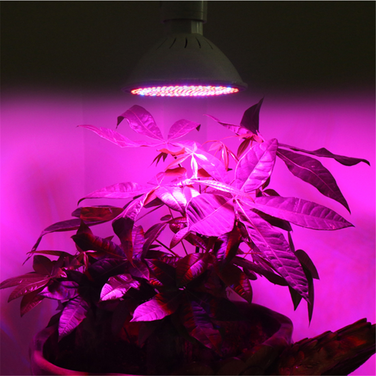 LED-Grow-Light-Bulb-20W-Plant-Light-with-200-LEDs-E27-Base-Grow-Light-Bulbs-for-Indoor-Plants-Vegeta-1958643-11