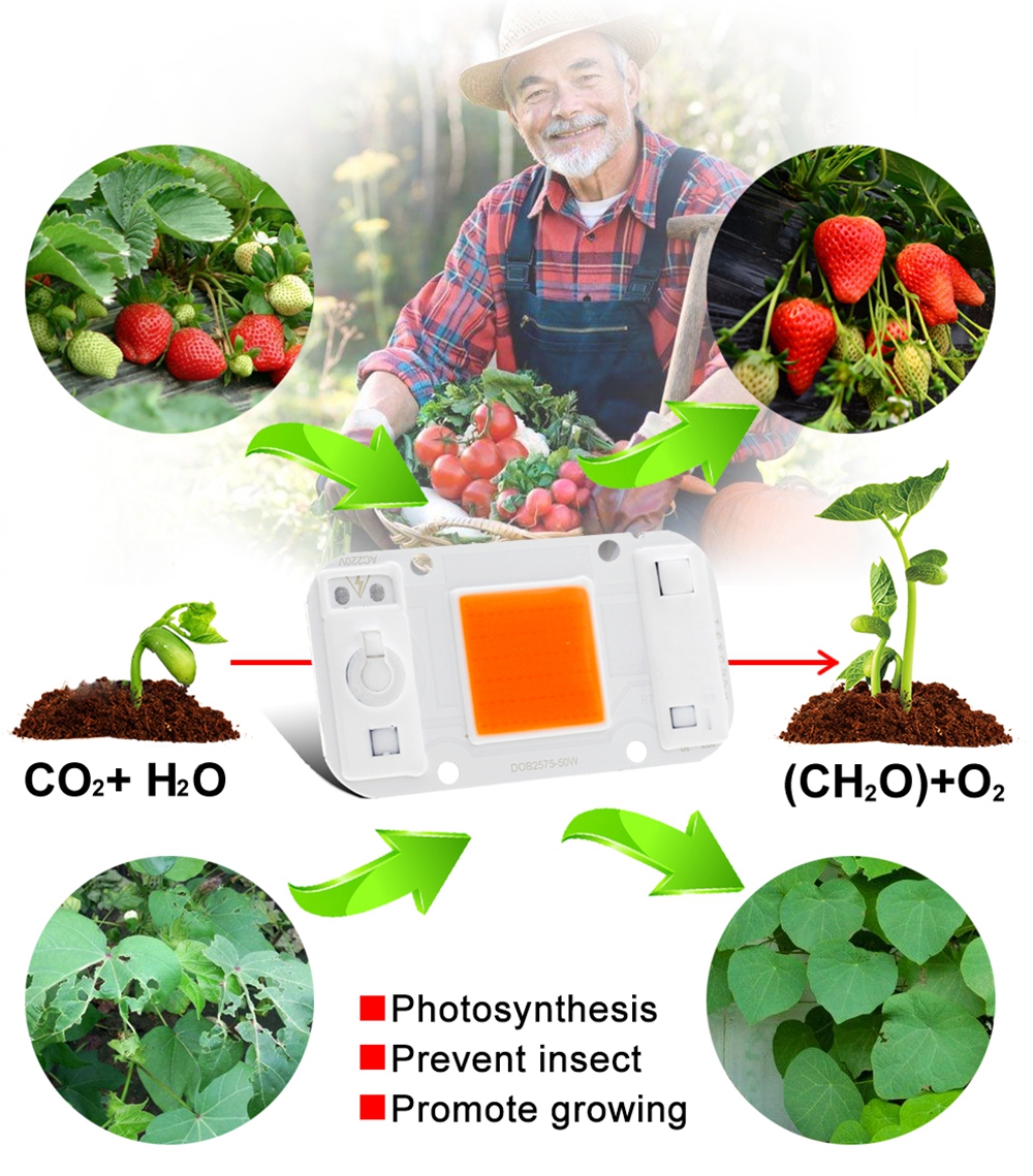 LUSTREON-20W-30W-50W-Full-Spectrum-COB-LED-Grow-Light-Chip-DIY-For-Indoor-Plant-Hydroponice-AC220V-1381205-6