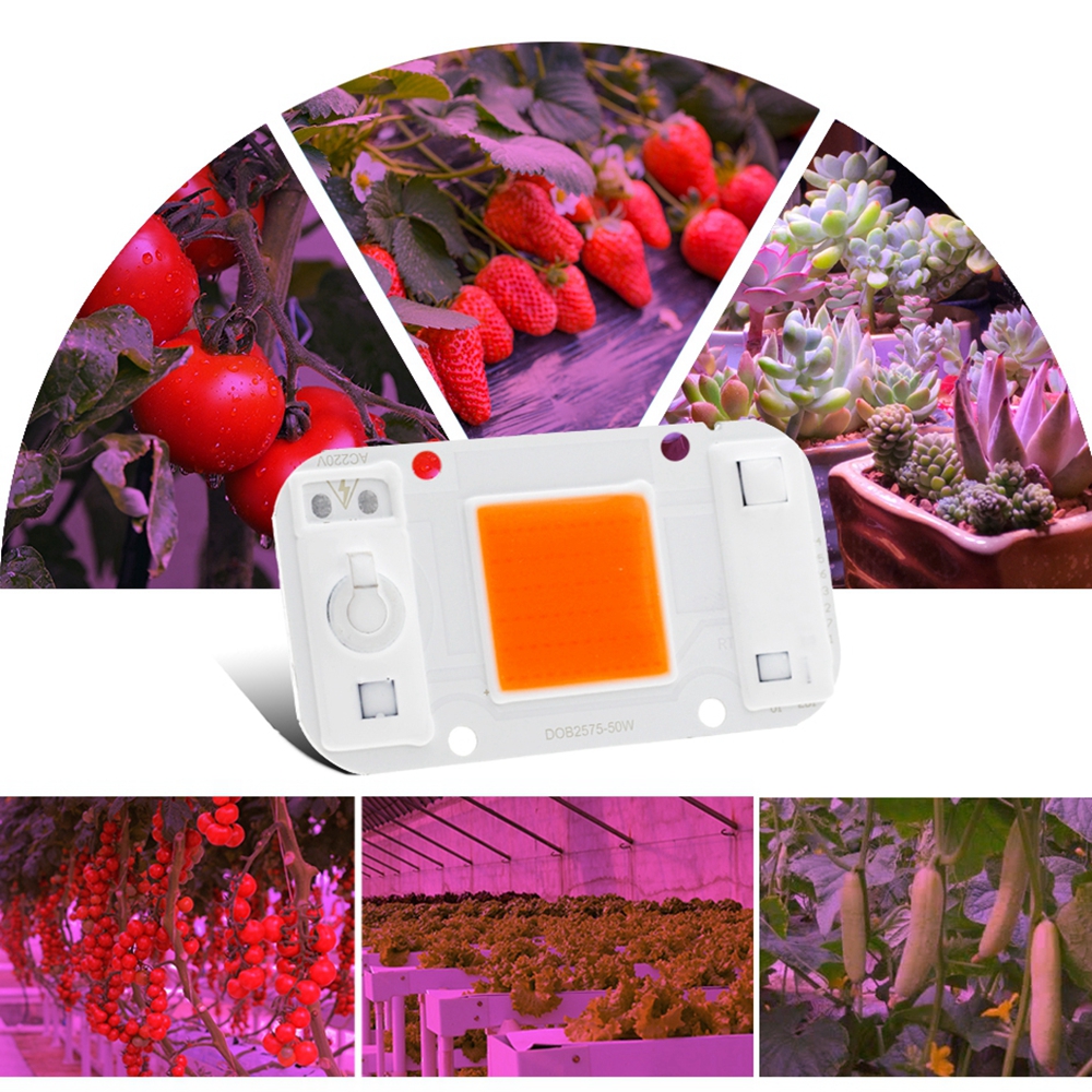 LUSTREON-20W-30W-50W-Full-Spectrum-COB-LED-Grow-Light-Chip-DIY-For-Indoor-Plant-Hydroponice-AC220V-1381205-8