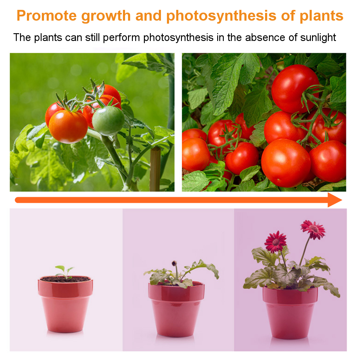 Ultra-Thin-81169LEDs-Plant-UV-Grow-Light-Full-Spectrum-Veg-Lamp-For-Indoor-Hydroponic-Plant-Flower-1-1738602-9