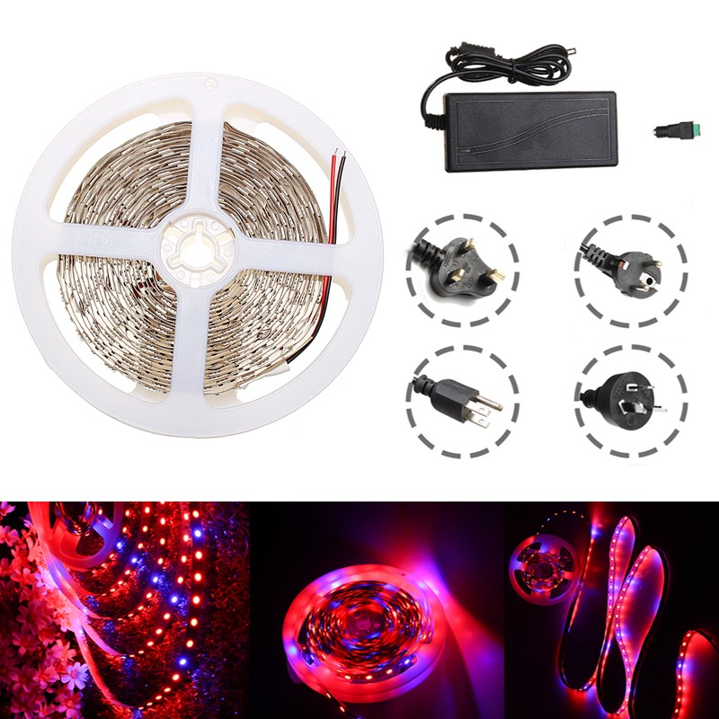 Waterproof-5M-RedBlue-51-SMD5050-Full-Spectrum-LED-Strip-Grow-Plant-Light--Power-Supply-DC12V-1282394-1